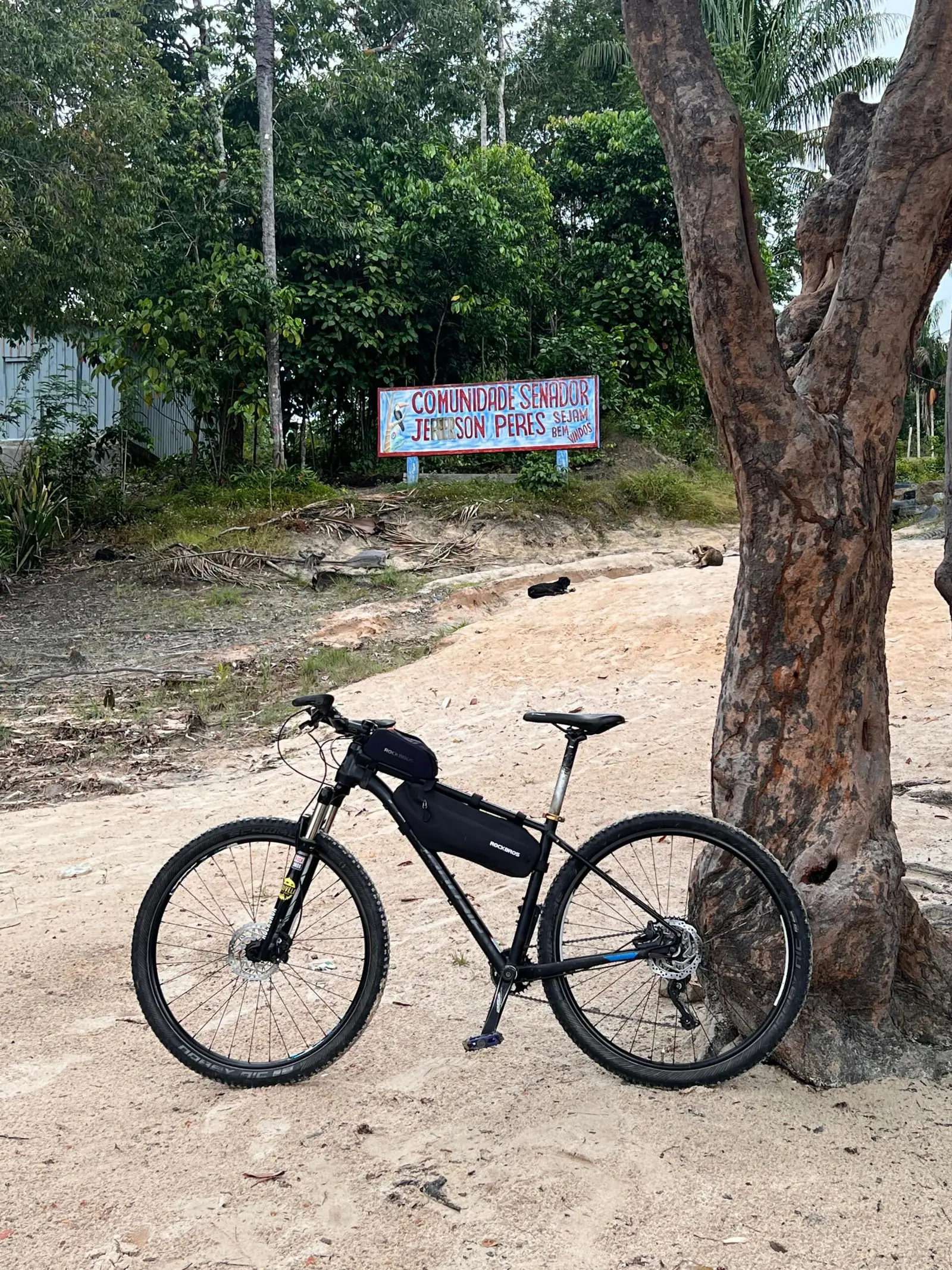 Bicicleta na entrada da trilha do Caniço