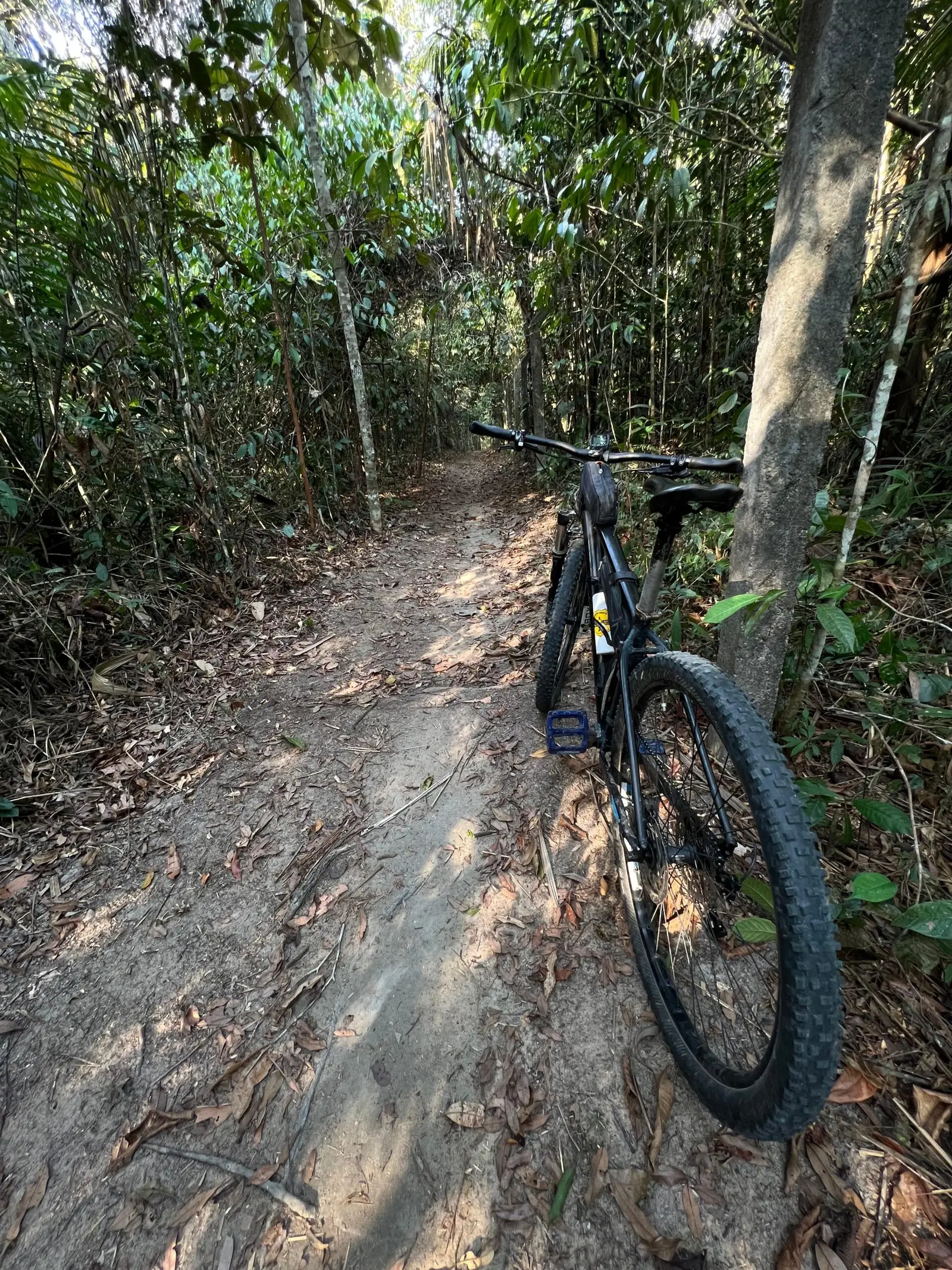 Bicicleta na entrada da trilha da UFAM