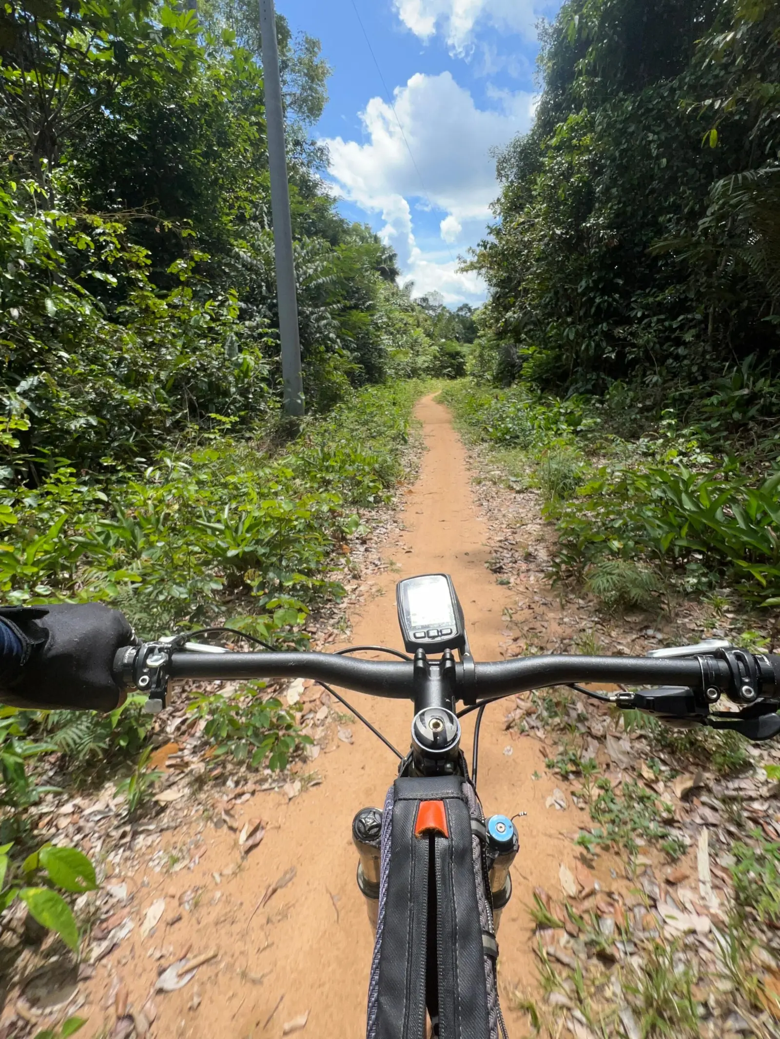 Bicicleta na trilha da Reserva do Tupé