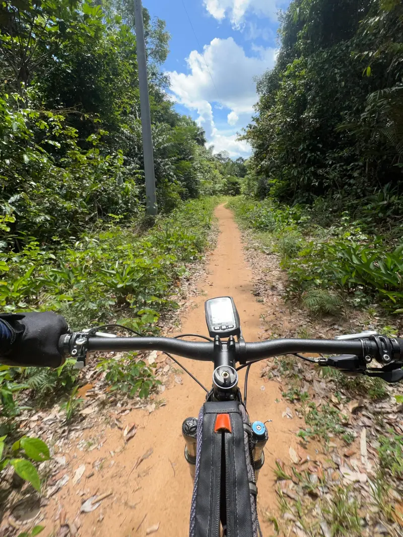 Bicicleta na trilha da Reserva do Tupé