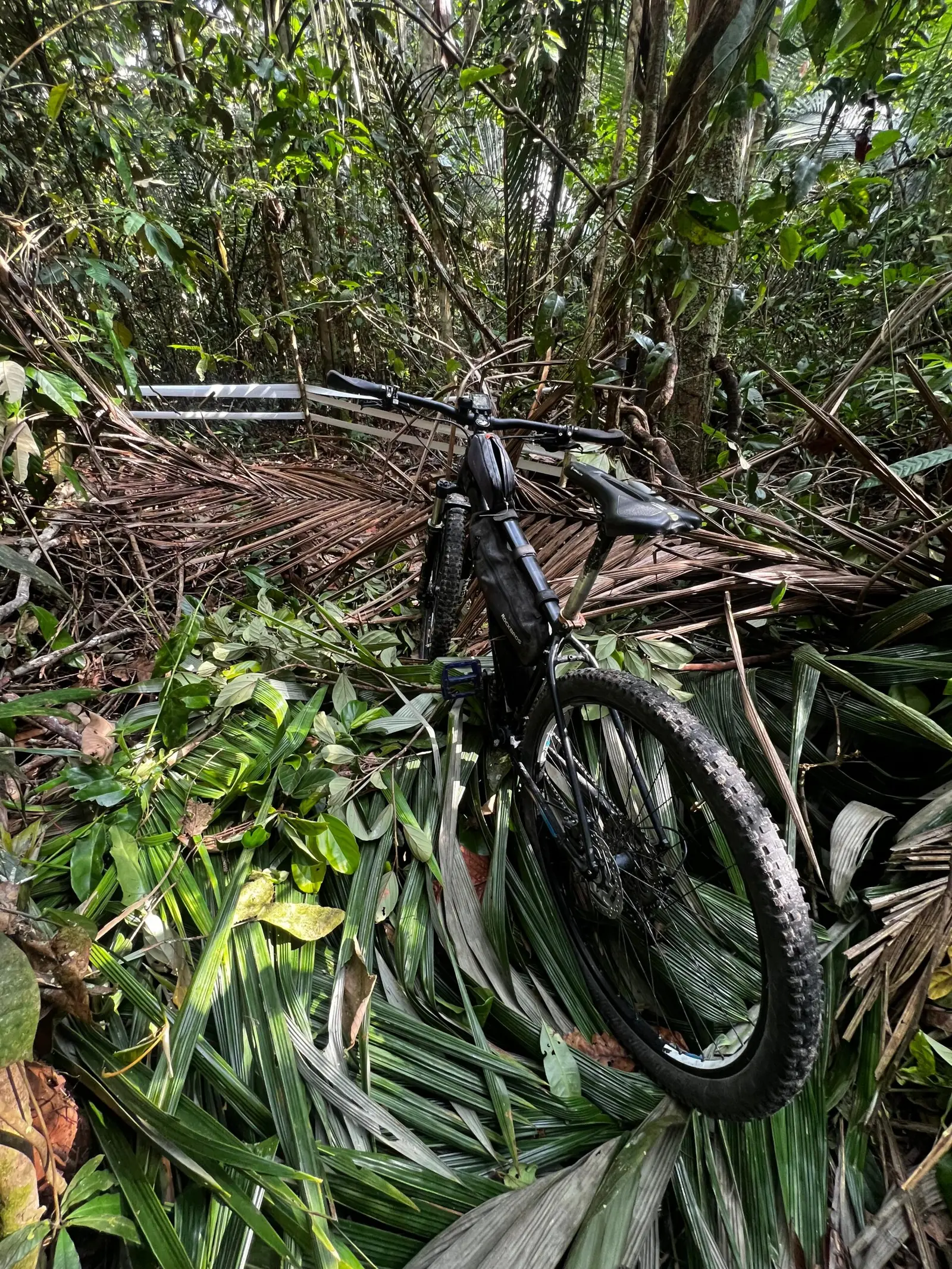 Bicicleta na trilha do Viva+Pedal