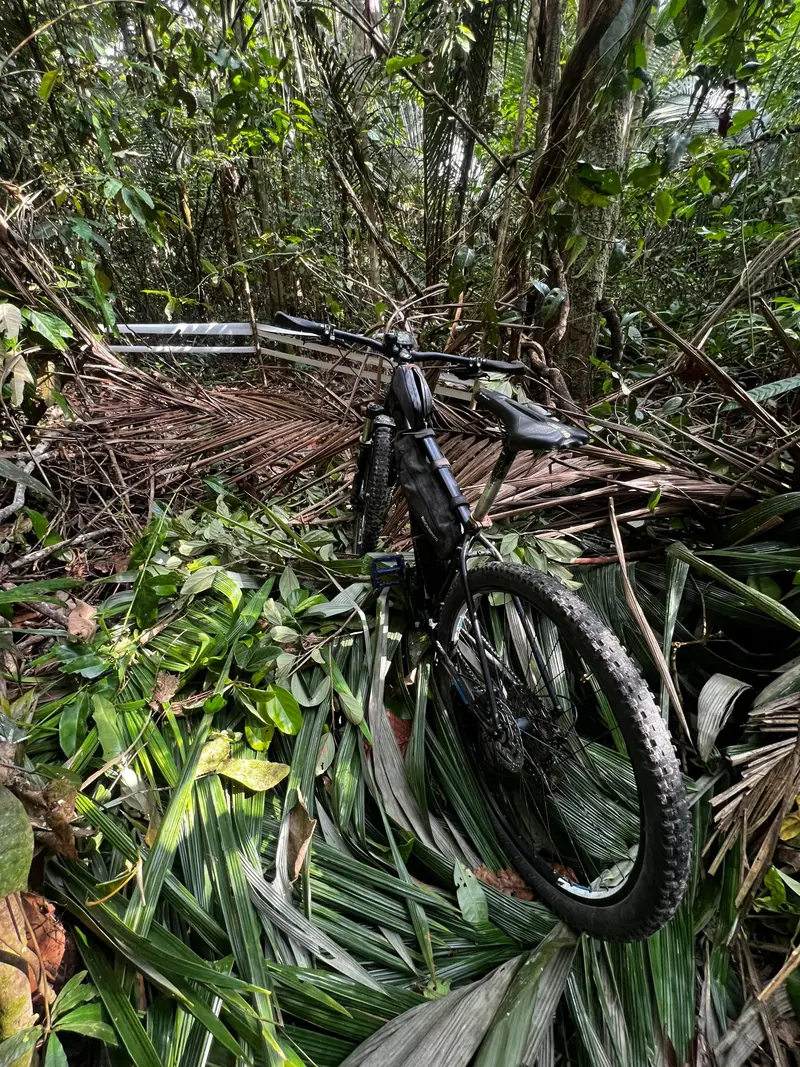 Bicicleta na trilha do Viva+Pedal