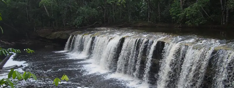 Ciclistas da Pedivela Amazônia em um dos roteiros