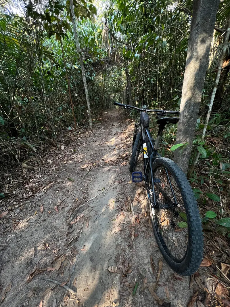 Ciclistas da Pedivela Amazônia em um dos roteiros