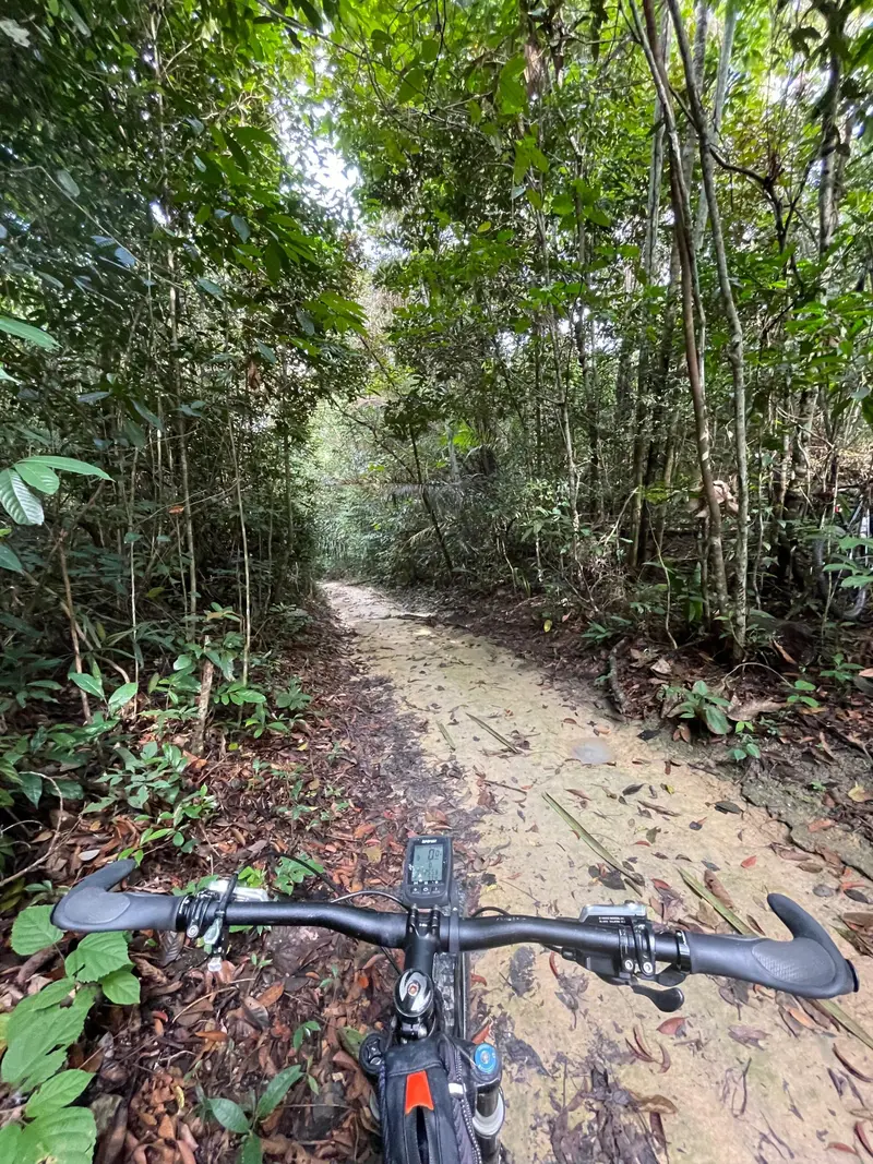 Ciclistas da Pedivela Amazônia em um dos roteiros